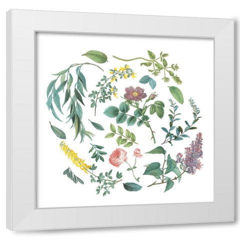 Victorian Garden Bright I White Modern Wood Framed Art Print by Wild Apple Portfolio