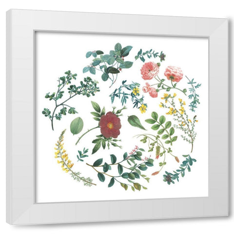 Victorian Garden Bright II White Modern Wood Framed Art Print by Wild Apple Portfolio