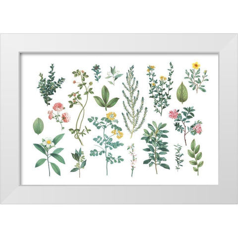 Victorian Garden Bright III White Modern Wood Framed Art Print by Wild Apple Portfolio