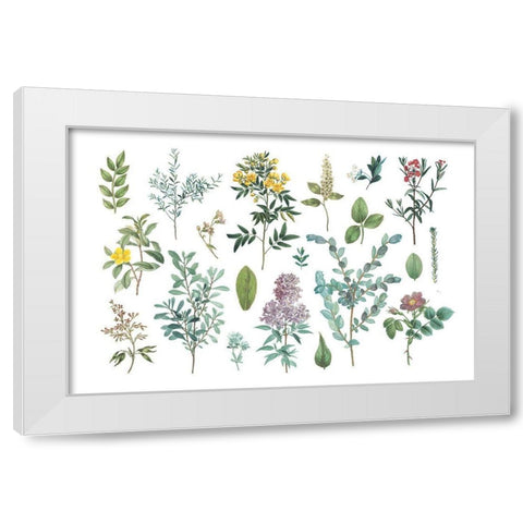 Victorian Garden Bright IV White Modern Wood Framed Art Print by Wild Apple Portfolio