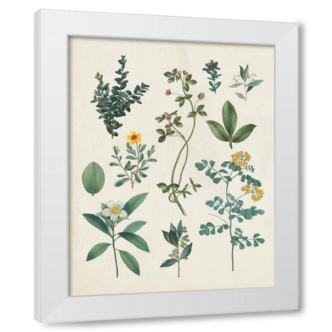 Victorian Garden V Light White Modern Wood Framed Art Print by Portfolio, Wild Apple