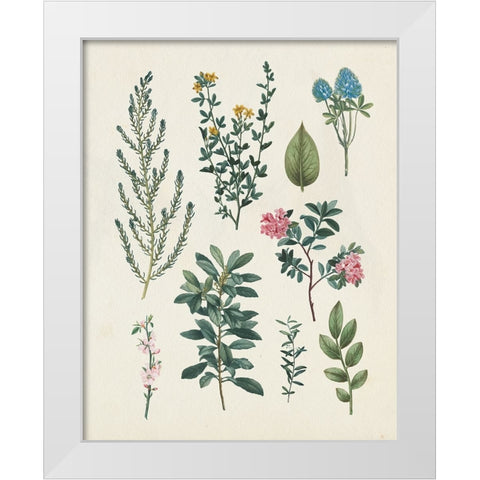 Victorian Garden VI Light White Modern Wood Framed Art Print by Portfolio, Wild Apple