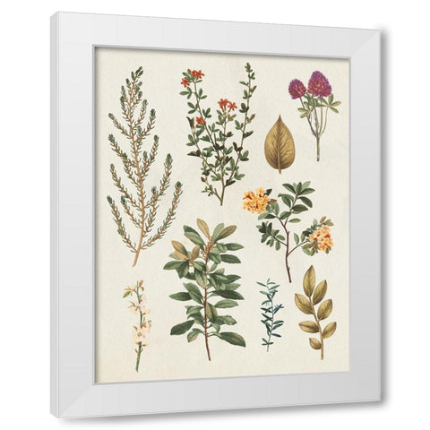Victorian Garden III Autumn Crop II White Modern Wood Framed Art Print by Wild Apple Portfolio