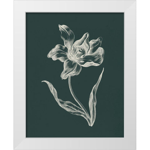 Eden Tulips I White Modern Wood Framed Art Print by Wild Apple Portfolio