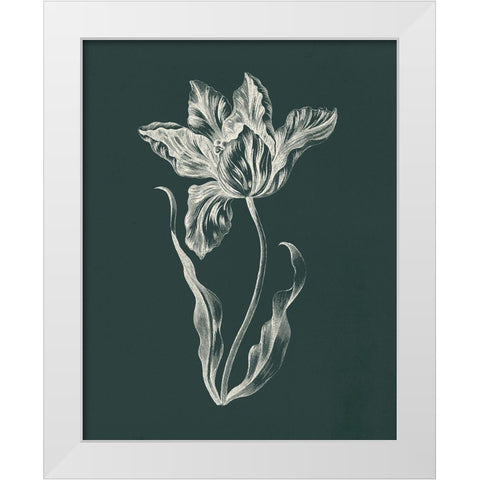 Eden Tulips II White Modern Wood Framed Art Print by Wild Apple Portfolio