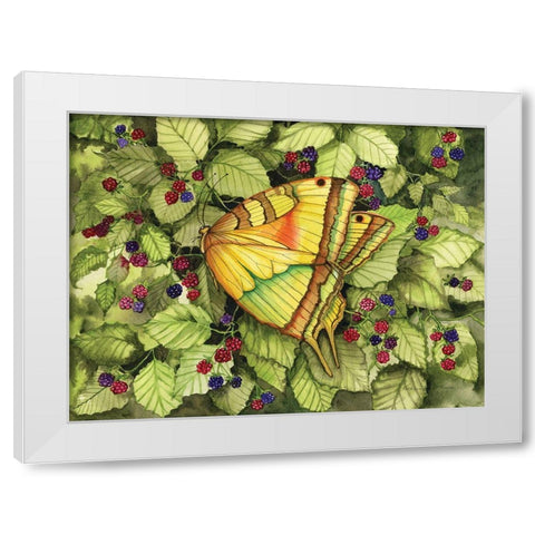 Bountiful Butterfly White Modern Wood Framed Art Print by McKenna, Kathleen Parr