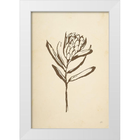 Vintage Line Protea I White Modern Wood Framed Art Print by Paschke, Chris