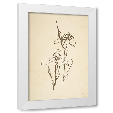 Vintage Line Iris II White Modern Wood Framed Art Print by Paschke, Chris
