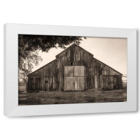 Hiding from the Rain White Modern Wood Framed Art Print by Larson, Nathan