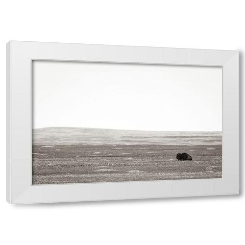 Badlands Guard White Modern Wood Framed Art Print by Larson, Nathan