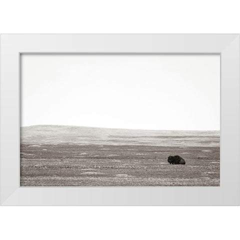 Badlands Guard White Modern Wood Framed Art Print by Larson, Nathan