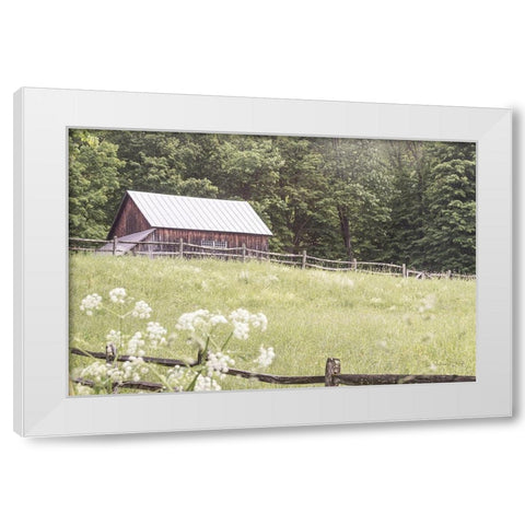 Summer Farm I White Modern Wood Framed Art Print by Schlabach, Sue