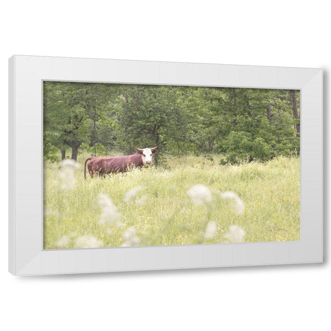 Summer Farm II White Modern Wood Framed Art Print by Schlabach, Sue