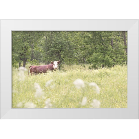 Summer Farm II White Modern Wood Framed Art Print by Schlabach, Sue