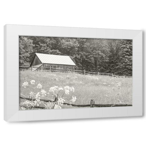 Summer Farm I BW White Modern Wood Framed Art Print by Schlabach, Sue