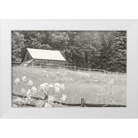 Summer Farm I BW White Modern Wood Framed Art Print by Schlabach, Sue