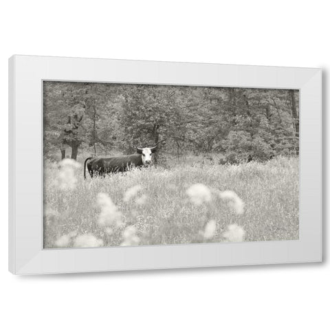 Summer Farm II BW White Modern Wood Framed Art Print by Schlabach, Sue