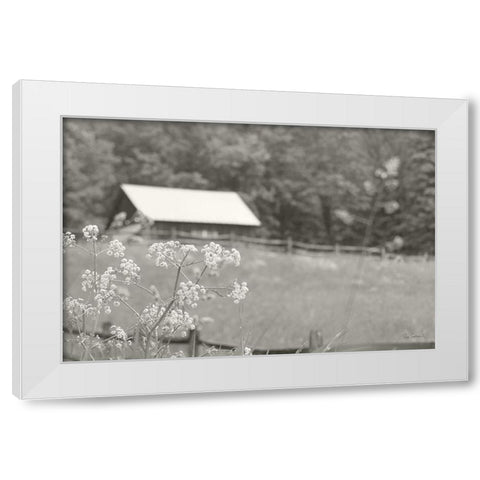 Summer Farm III BW White Modern Wood Framed Art Print by Schlabach, Sue