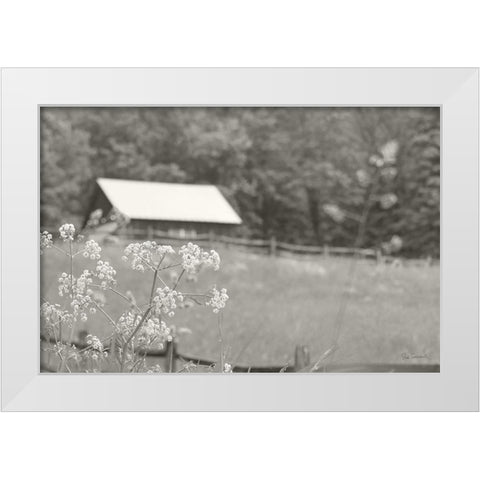 Summer Farm III BW White Modern Wood Framed Art Print by Schlabach, Sue