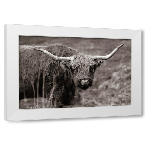 Highland Spring White Modern Wood Framed Art Print by Larson, Nathan