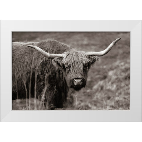 Highland Spring White Modern Wood Framed Art Print by Larson, Nathan