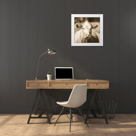 Pasture Cow Sepia Sq White Modern Wood Framed Art Print by Van Swearingen, Debra