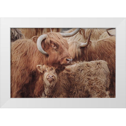 Highland Cow Under Cover White Modern Wood Framed Art Print by Larson, Nathan