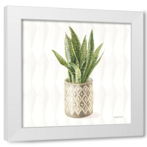 Desert Greenhouse XVI Sq White Modern Wood Framed Art Print by Nai, Danhui