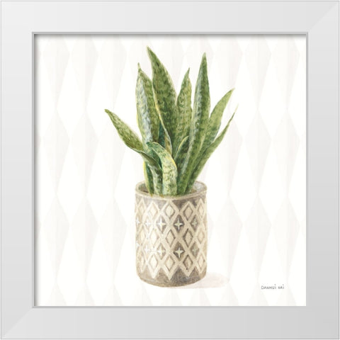 Desert Greenhouse XVI Sq White Modern Wood Framed Art Print by Nai, Danhui