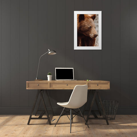 Bear Profile I White Modern Wood Framed Art Print by Larson, Nathan