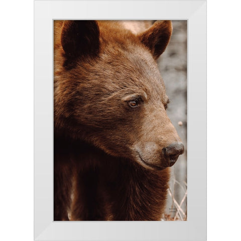 Bear Profile I White Modern Wood Framed Art Print by Larson, Nathan