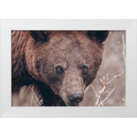Bear Portrait White Modern Wood Framed Art Print by Larson, Nathan
