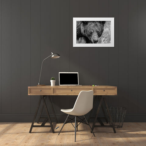 Bear Portrait BW White Modern Wood Framed Art Print by Larson, Nathan