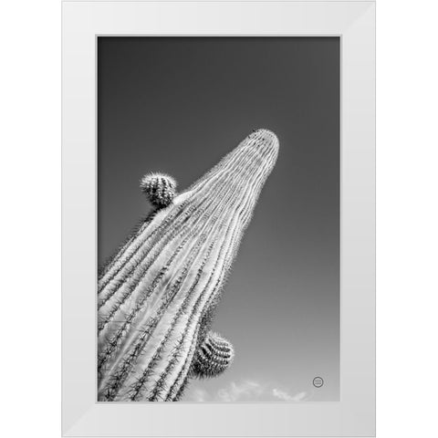 King I v2 White Modern Wood Framed Art Print by Larson, Nathan