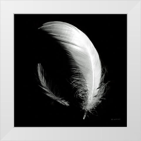 Dream Feathers Sq White Modern Wood Framed Art Print by Goldstein, Ed