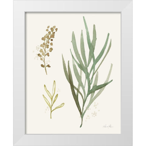 Leaf and Stem III White Modern Wood Framed Art Print by Horn, Laura