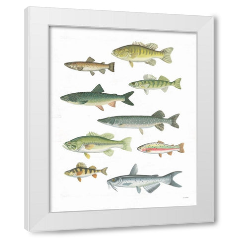 Fresh Catch V White Modern Wood Framed Art Print by Wiens, James