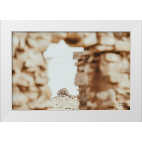 Through Ruins White Modern Wood Framed Art Print by Larson, Nathan