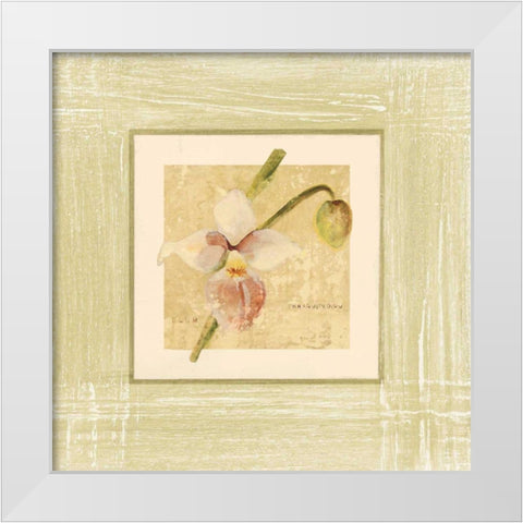 Exotic Floral IV White Modern Wood Framed Art Print by Blum, Cheri