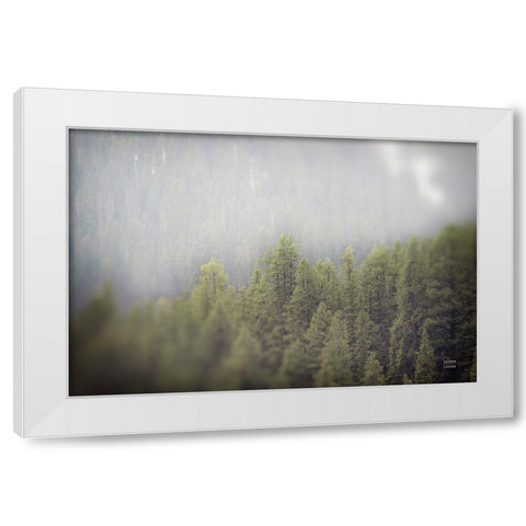 Northern Forests White Modern Wood Framed Art Print by Larson, Nathan