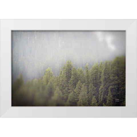 Northern Forests White Modern Wood Framed Art Print by Larson, Nathan