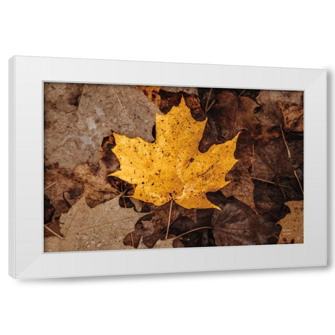 Fall Rains II White Modern Wood Framed Art Print by Larson, Nathan