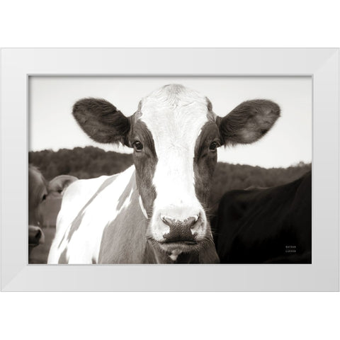 At the Barn White Modern Wood Framed Art Print by Larson, Nathan