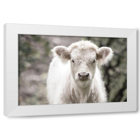 White Calf White Modern Wood Framed Art Print by Larson, Nathan