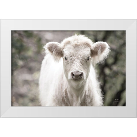 White Calf White Modern Wood Framed Art Print by Larson, Nathan