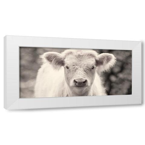 White Calf Panel White Modern Wood Framed Art Print by Larson, Nathan