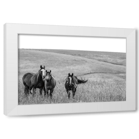Montana Moves v2 White Modern Wood Framed Art Print by Larson, Nathan