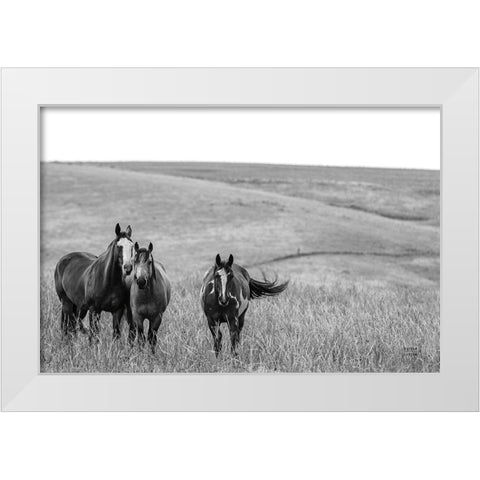 Montana Moves v2 White Modern Wood Framed Art Print by Larson, Nathan