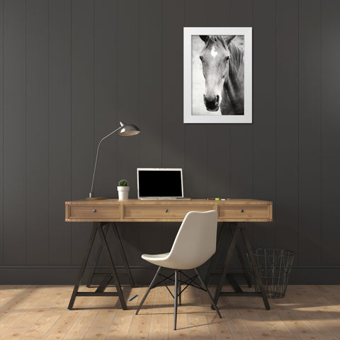 Moke Lake Horses I White Modern Wood Framed Art Print by Marshall, Laura
