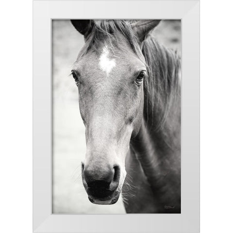 Moke Lake Horses I White Modern Wood Framed Art Print by Marshall, Laura